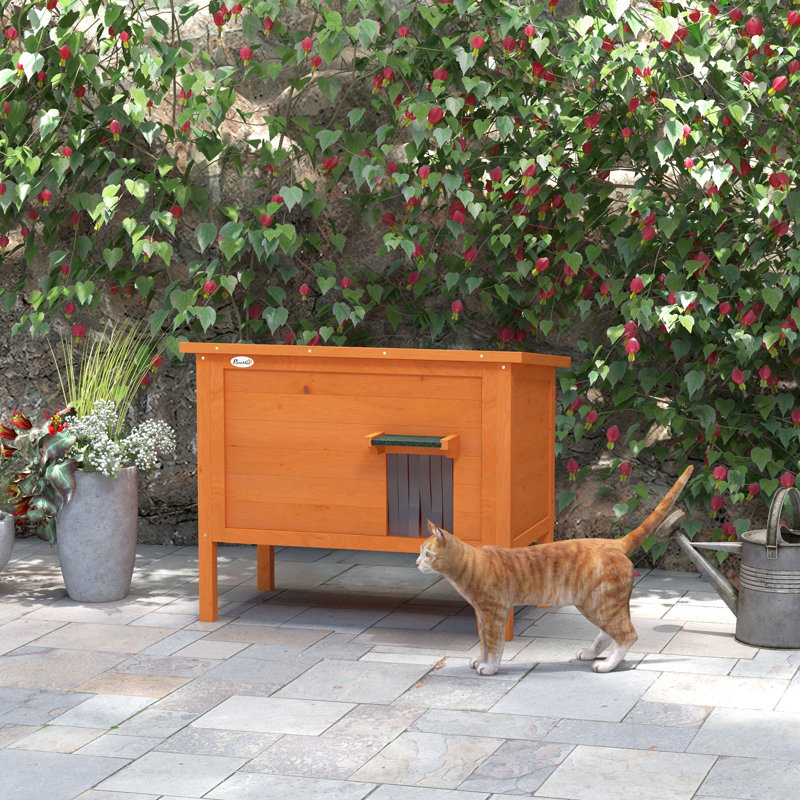 Wayfair outdoor cat houses discount